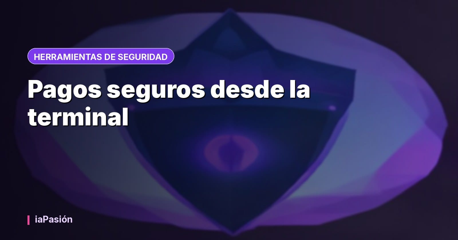 Pagos seguros desde la terminal